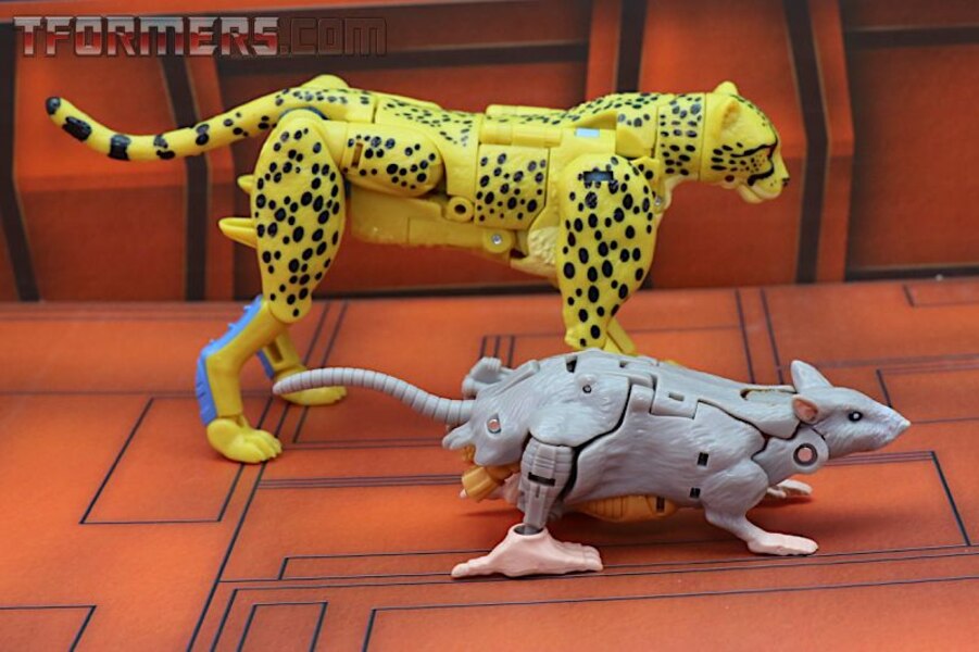 Transformers Kingdom Cheetor Wave 1 Deluxe Class  (29 of 34)